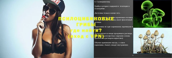 мдпв Богданович