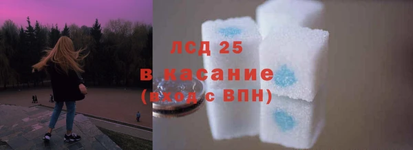 мдпв Богданович