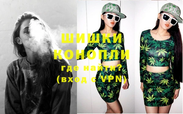 Альфа ПВП Новозыбков