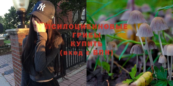 метадон Богородицк