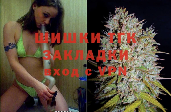 spice Новодвинск