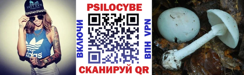 Галлюциногенные грибы прущие грибы Малаховка