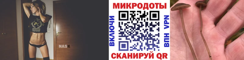 Галлюциногенные грибы прущие грибы  даркнет сайт  Малаховка 
